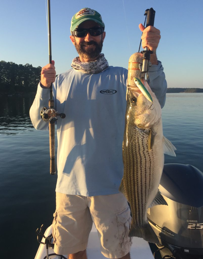 Striped Bass