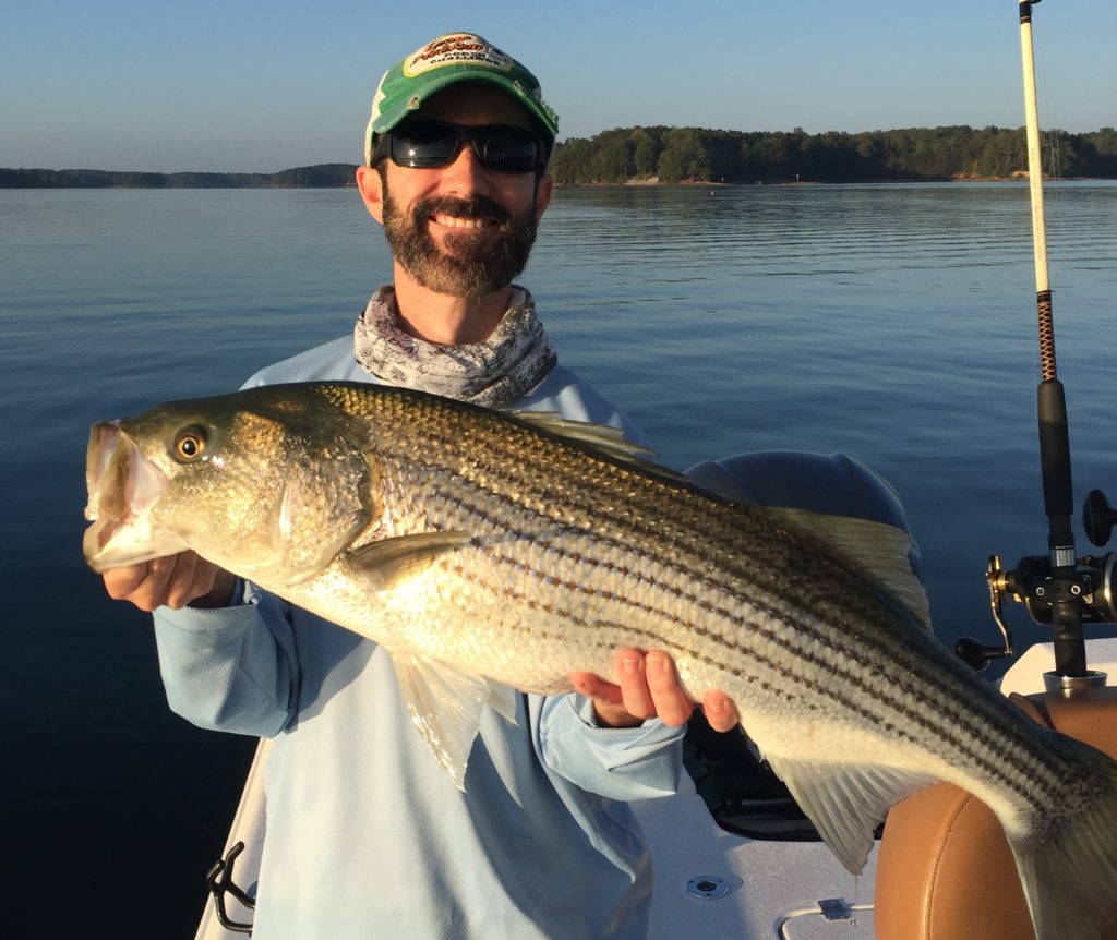 Striper
